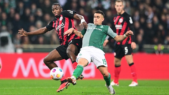 Bremens Rafael Borré (r.) und Frankfurts Willian Pacho kämpfen um den Ball. © Witters/TimGroothuis 