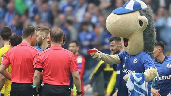 Schalkes Maskottchen Erwin (r.) zeigt dem Schiedsrichtergespann die Rote Karte © IMAGO / DeFodi 