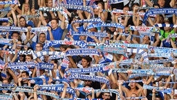 Fans von Hansa Rostock © picture alliance / ZB Foto: Hendrik Schmidt