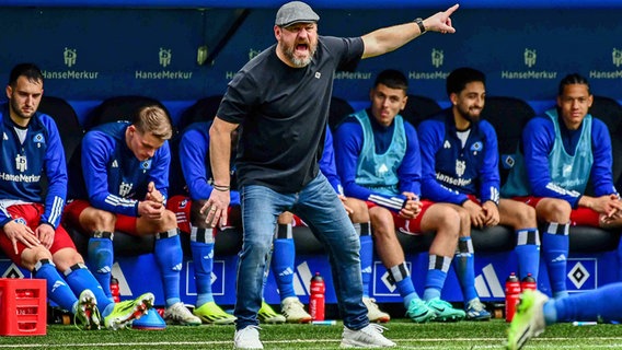 HSV-Trainer Steffen Baumgart schreit © IMAGO / Philipp Szyza 