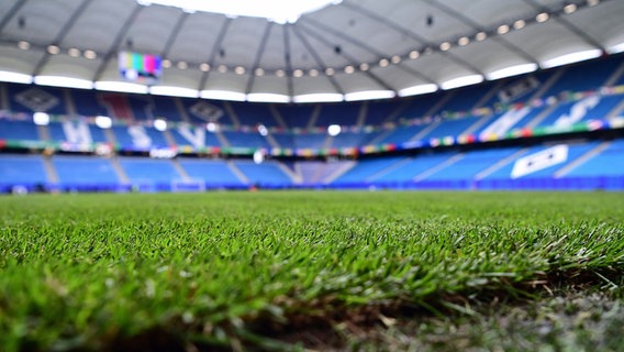 Der Rasen im Hamburger Volksparkstadion Der Rasen im Hamburger Volksparkstadion © WITTERS / Tay Duc Lam