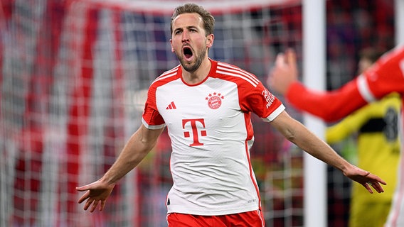 Harry Kane vom FC Bayern München © picture-alliance / DPA 