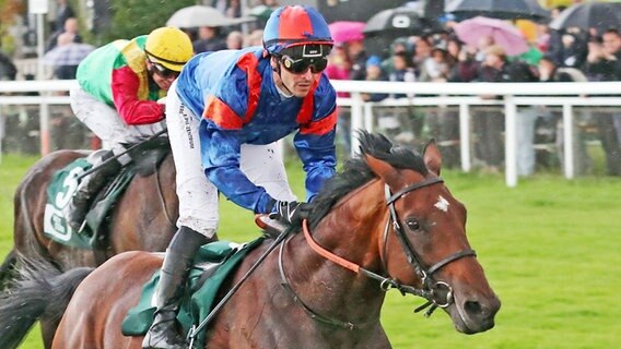 Jockey Rene Piechulek gewinnt mit Niagaro den Langen Hamburger bei der Derby-Woche in Hamburg-Horn © IMAGO / Galoppfoto 
