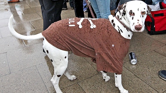 Der FC St. Pauli hat im wahrsten Sinne de Wortes "tierische" Fans. © fishing4 