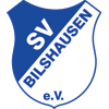 SV Bilshausen