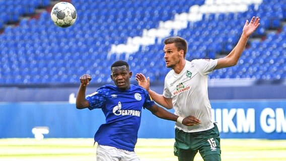 Werder Bremens Sebastian Langkamp (r.) im Duell mit Schalkes Rabbi Matondo © picture alliance/Bernd Thissen/dpa-Pool/dpa 