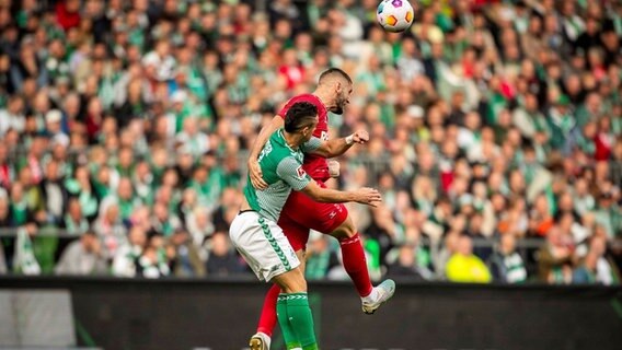 Bremens Rafael Borré im Kopfballduell mit Köln Jeff Chabot © IMAGO / Nordphoto 