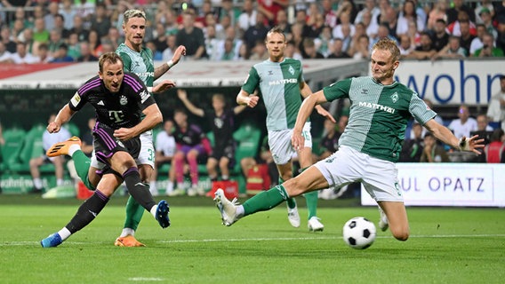Bayerns Harry Kane trifft gegen Werder Bremen © IMAGO / Ulrich Hufnagel 