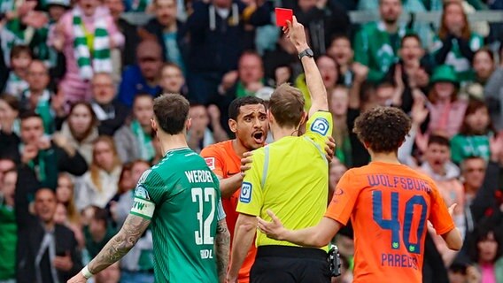 Schiedsrichter Sascha Stegemann zeigt Wolfsburgs Maxence Lacroix die Rote Karte © IMAGO/Steinbrenner 