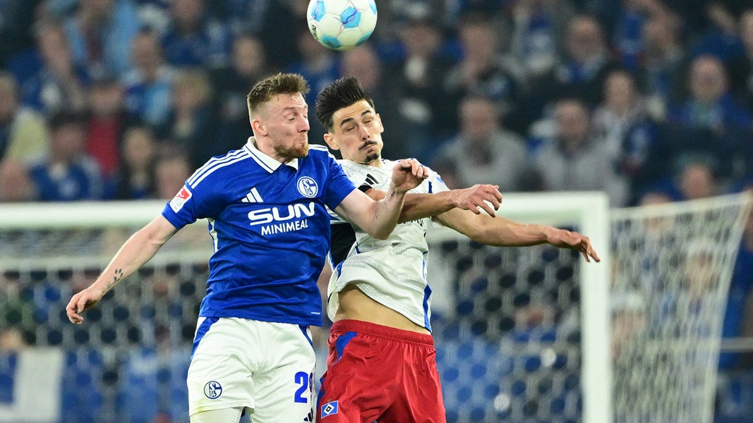 Trotz langer Überzahl: HSV verpasst Sieg auf Schalke