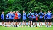 Die Profis von Holstein Kiel auf dem Trainingsplatz © picture alliance / Eibner-Pressefoto | Eibner-Pressefoto/Marcel von Fehrn 