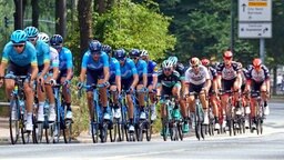 Das Peloton bei den Cyclassics © Witters Foto: Frank Peters