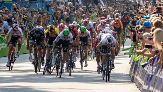 Der Zielsprint bei den Cyclassics 2019. © picture alliance / dpa Foto: Axel Heimken