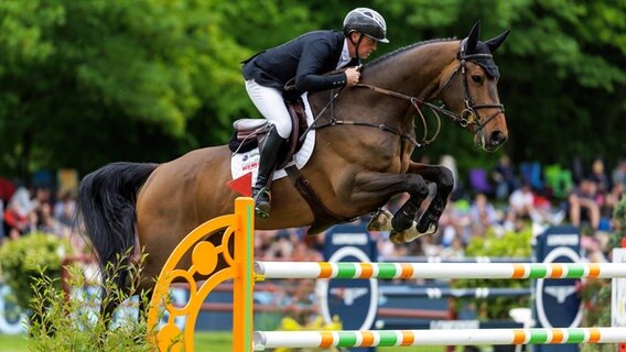 Shane Breen überquert mit Cato Boy ein Hindernis. © IMAGO / Stefan Lafrentz 