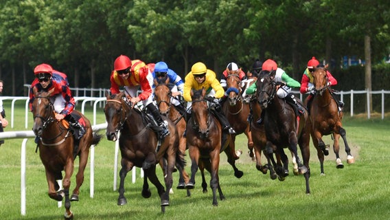 Jockeys im Rennen bei Galopp-Derby Hamburg-Horn ©  IMAGO/Nordphoto 