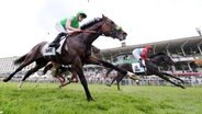 Jockeys beim Galopp-Derby auf der Rennbahn in Hamburg-Horn © imago images/Galoppfoto 