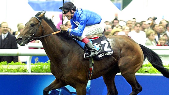 Der 36:10-Favorit "Next Desert" gewinnt am 07. Juli 2002 das 133. Deutsche Derby in Hamburg. © dpa Foto: Kay Nietfeld