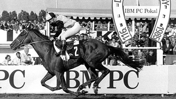 Deutsches Derby Horn 1958 © DPA Picture Alliance 