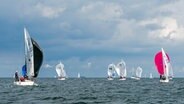 Segelregatta der Klasse J70 während der Kieler Woche. © IMAGO / penofoto 