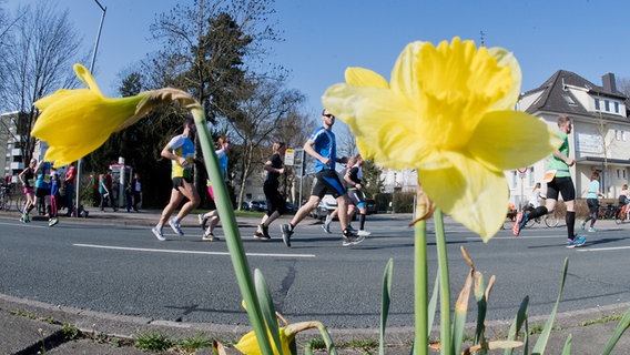 Läufer beim Hannover-Marathon © dpa Foto: Julian Stratenschulte