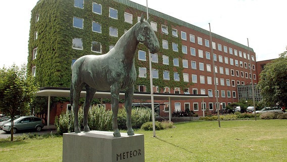 Das Bronze-Denkmal von Fritz Thiedemanns Pferd Meteor vor dem Kieler Landwirtschaftsministerium © picture-alliance 