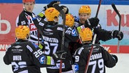 Die Eishockey-Profis der Fischtown Pinguins bejubeln einen Treffer. © IMAGO / kolbert-press 