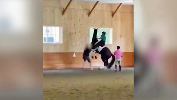 Ein Pferd mit einem Reiter auf dem Rücken steigt. © Screenshot 