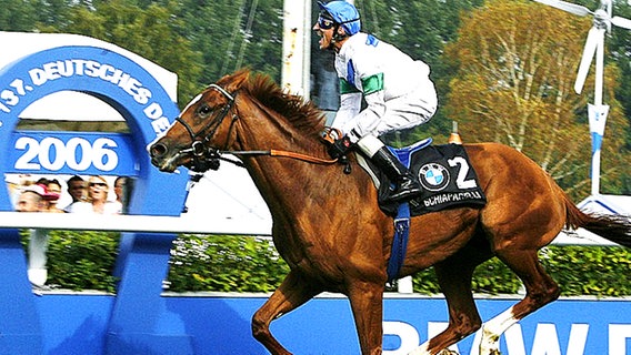 Schiaparelli mit Jockey Andrasch Starke beim Derbysieg 2006 © hoch zwei 