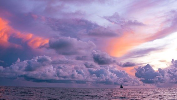 Boot im Sonnenuntergang beim Ocean Race © Antoine Auriol Foto: Antoine Auriol