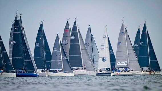 Kielboote auf der Kieler Förde. © picture alliance / dpa Foto: Sascha Klahn