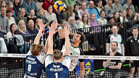 Spielszene SVG Lüneburg gegen Grizzlys Giesen © picture alliance / nordphoto GmbH | nordphoto GmbH/ Witke 
