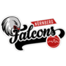Nürnberg Falcons BC