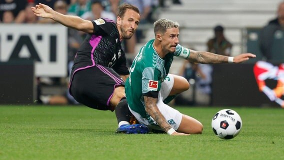 Bremens Marco Friedl (l) und Bayerns Harry Kane kämpfen um den Ball. © picture alliance Foto: Axel Heimken