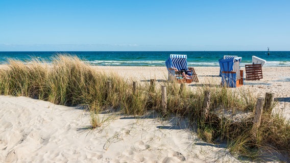 Strand in der Schleiregion/Eckernförde Strand in der Schleiregion/Eckernförde © IMAGO Foto: penofoto