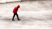 Ein Spaziergänger im Sturm am Strand von Warnemünde. © dpa Foto: Bernd Wüstneck