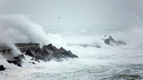 Meer bei Sturm © picture alliance / Arco Images Foto: H. Marschall
