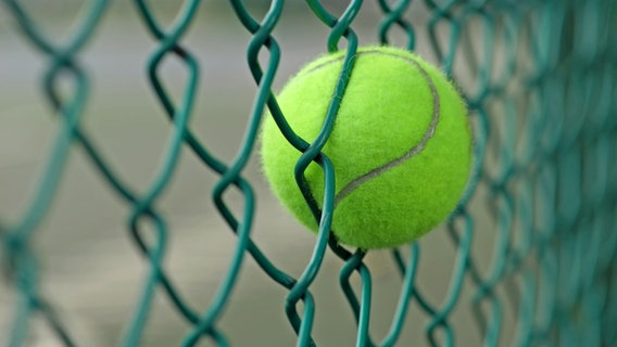 Ein Tennisball steckt in einem Gitter fest. © COLOURBOX Foto: leisuretime70