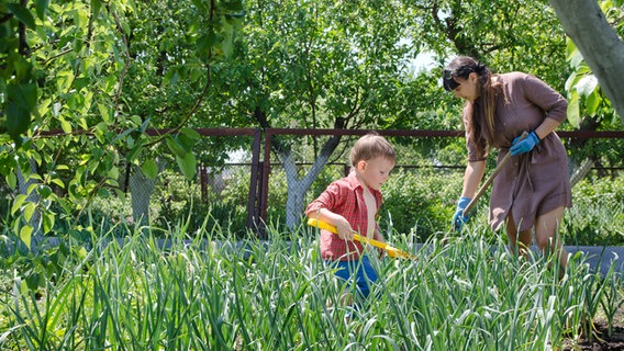 Ein kleiner Junge arbeitet mit einer Frau im Garten. © Colourbox Foto: Mikhaylov Oleg