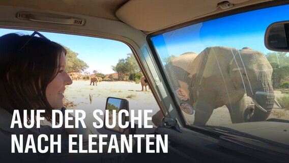 Ein Thumbnail zur Doku "Hannah goes wild", Folge 2. © NDR Foto: NDR