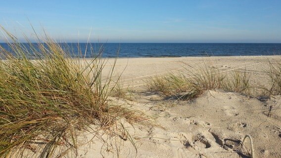 Blick aus den Dünen auf den Strand Usedoms. © NDR Foto: Christian Vick aus Rethwisch