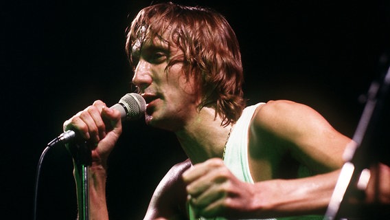 Der deutsche Rocksänger und Schauspieler Marius Müller-Westernhagen im Oktober 1980 auf der Bühne. © picture-alliance / dpa 