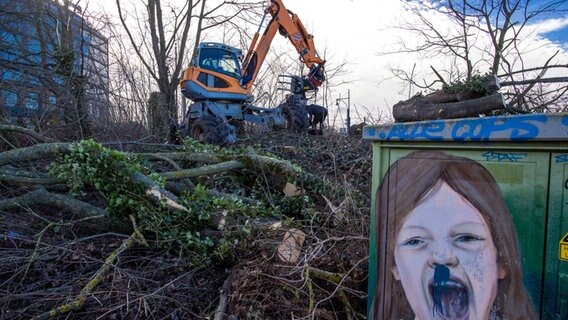 Mit Baumfällarbeiten und der Absicherung des Geländes haben die ersten Bauarbeiten für den Neubau des Volkstheaters begonnen. © dpa Foto: Jens Büttner