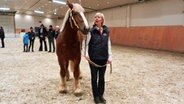 Züchterin Elisabeth Lammer steht mit ihrem Schleswiger-Kaltblut-Hengst Habicht in einer Reithalle © NDR Foto: Ines Barber