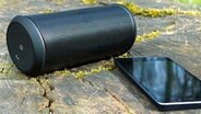 Ein Smartphone liegt neben einen tragbaren Lautsprecher auf einem abgesägtem Baumstumpf. © Fotolia Foto: baloon 111