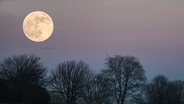 Großer Mond an Abendhimmel © Christine Raczka Foto: Christine Raczka
