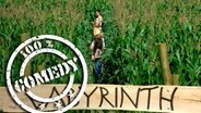 Besucher suchen einen Weg in einem Maislabyrinth © dpa - Report 