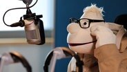 Die Handpuppe Werner Momsen sitzt vor einem Mikrofon. © NDR 