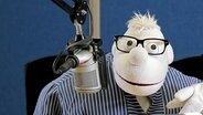 Die Handpuppe Werner Momsen sitzt vor einem Mikrofon. © NDR 