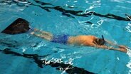 Einer der schwimmer taucht. © NDR Foto: Ingo Meyer
