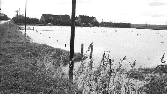 Altes Bild aus dem Kreisarchiv Nordfriesland, das Häuser neben überflutetem Marschboden zeigt. © Kreisarchiv Nordfriesland 